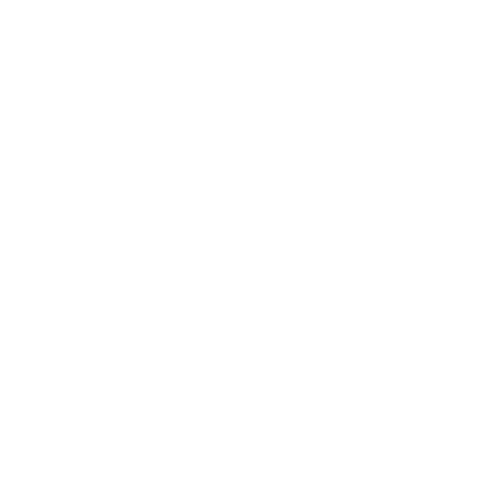 Vibin Raskl